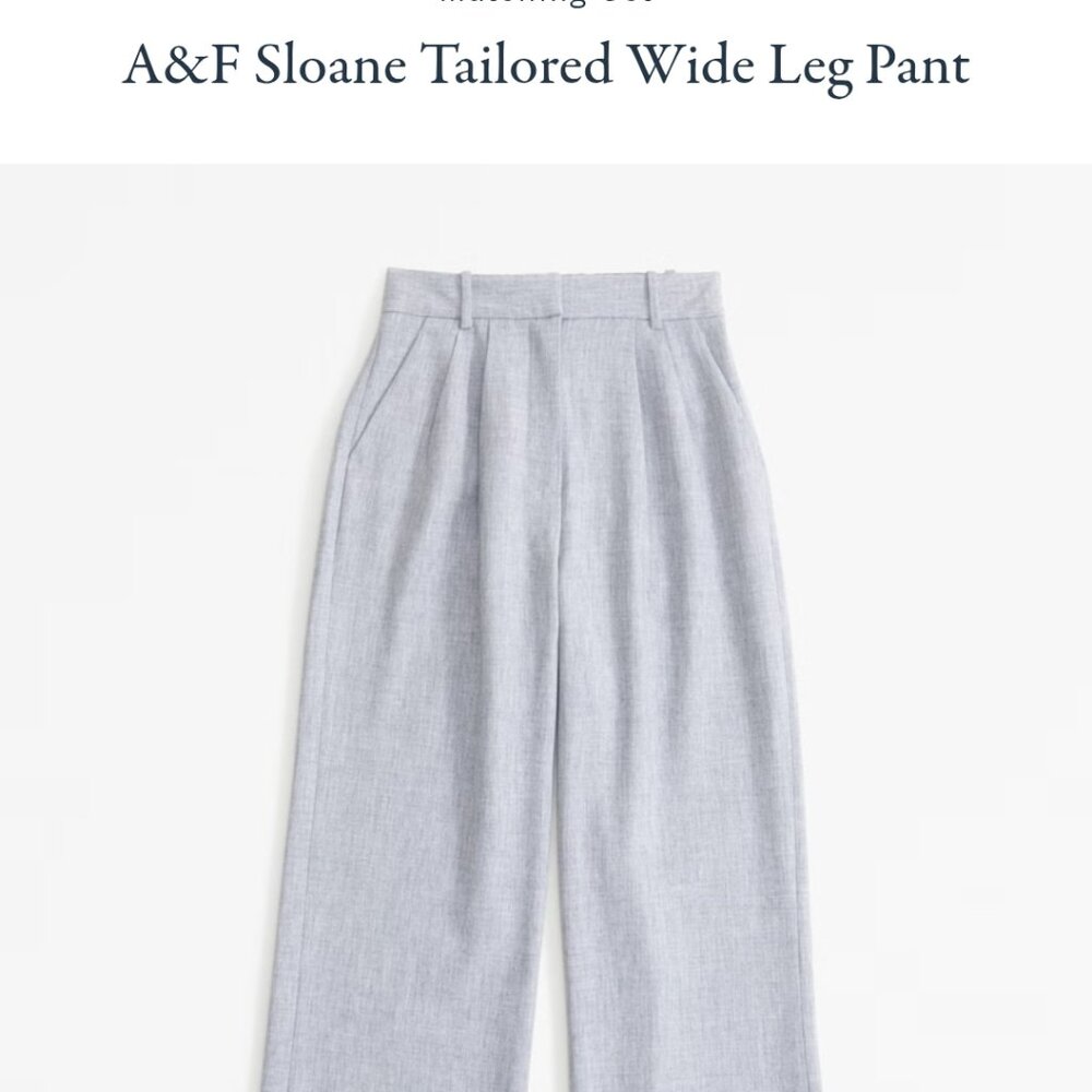 NWT A&F Sloane wide leg pant
